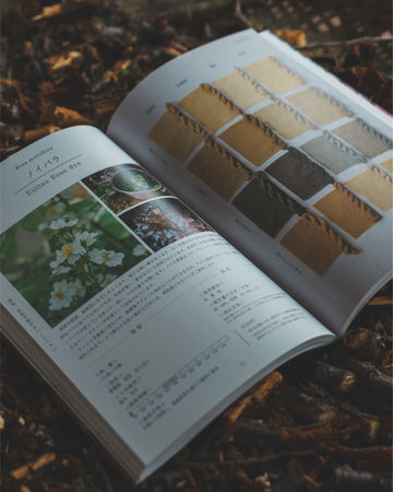 書籍 | Maito Design Worksのおうちで楽しむ草木染め – Maito Design